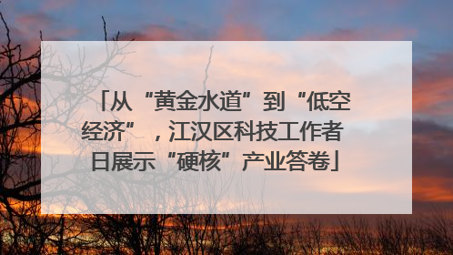 从“黄金水道”到“低空经济”，江汉区科技工作者日展示“硬核”产业答卷