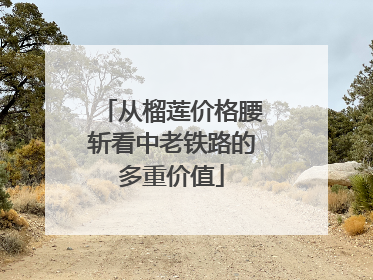 从榴莲价格腰斩看中老铁路的多重价值