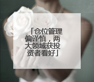 仓位管理偏谨慎，两大领域获投资者看好