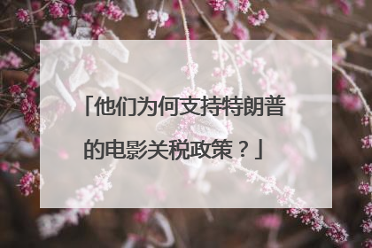 他们为何支持特朗普的电影关税政策？