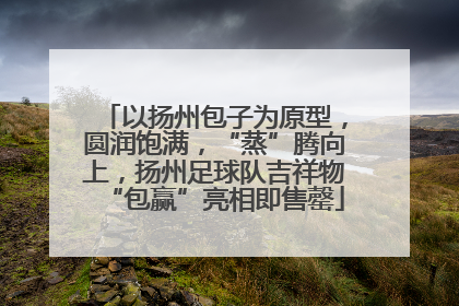 以扬州包子为原型，圆润饱满，“蒸”腾向上，扬州足球队吉祥物“包赢”亮相即售罄