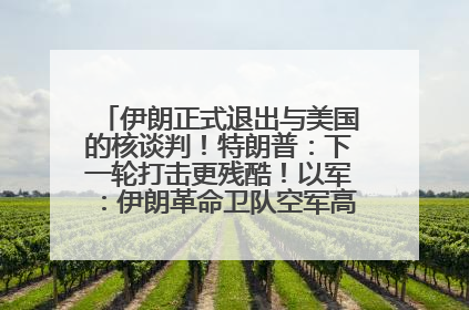 伊朗正式退出与美国的核谈判！特朗普：下一轮打击更残酷！以军：伊朗革命卫队空军高层指挥系统已被击垮