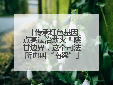 传承红色基因、点亮法治薪火！陕甘边界，这个司法所也叫“南梁”