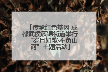 传承红色基因 成都武侯簇锦街道举行“岁月如歌·不负山河”主题活动