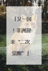 又一国！非洲迎来“二次觉醒”