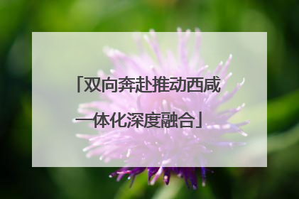 双向奔赴推动西咸一体化深度融合