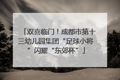 双喜临门！成都市第十三幼儿园集团“足球小将”闪耀“东郊杯”