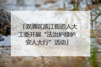 双清区滨江街道人大工委开展“法治护绿护安人大行”活动