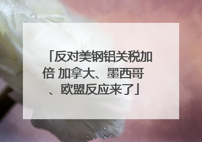 反对美钢铝关税加倍 加拿大、墨西哥、欧盟反应来了