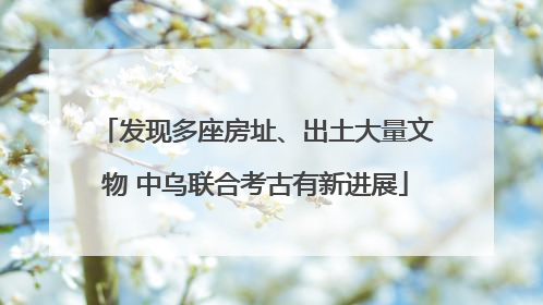 发现多座房址、出土大量文物 中乌联合考古有新进展