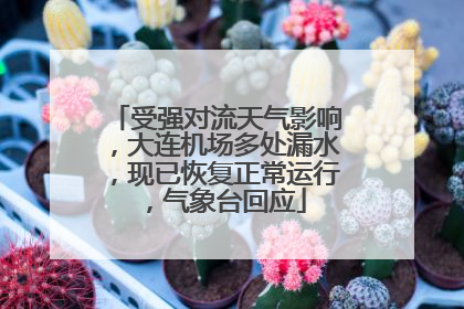 受强对流天气影响，大连机场多处漏水，现已恢复正常运行，气象台回应