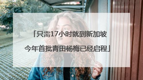 只需17小时就到新加坡 今年首批青田杨梅已经启程