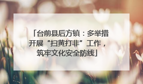 台前县后方镇：多举措开展“扫黄打非”工作，筑牢文化安全防线