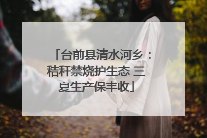 台前县清水河乡：秸秆禁烧护生态 三夏生产保丰收