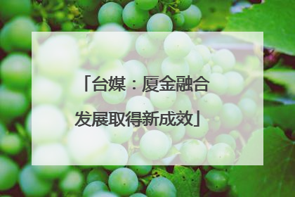 台媒：厦金融合发展取得新成效