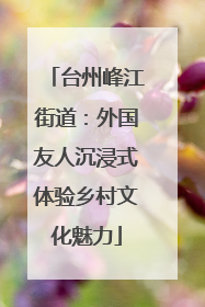 台州峰江街道：外国友人沉浸式体验乡村文化魅力
