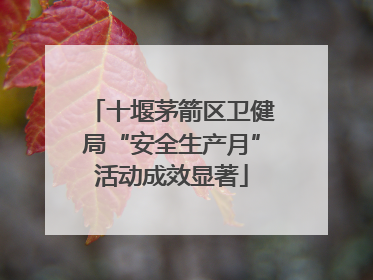 十堰茅箭区卫健局“安全生产月”活动成效显著