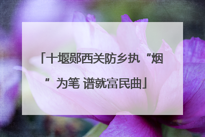 十堰郧西关防乡执“烟”为笔 谱就富民曲