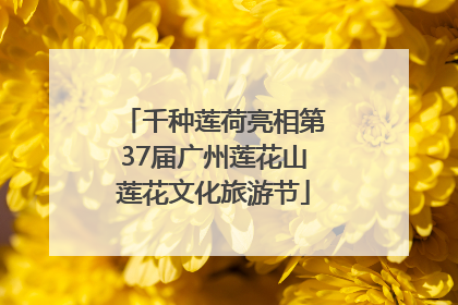 千种莲荷亮相第37届广州莲花山莲花文化旅游节