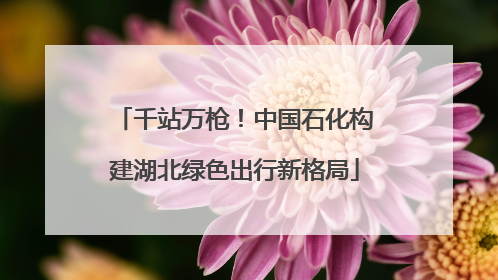 千站万枪！中国石化构建湖北绿色出行新格局