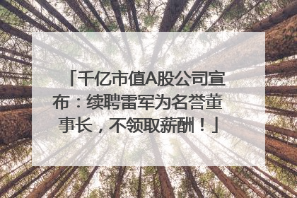千亿市值A股公司宣布：续聘雷军为名誉董事长，不领取薪酬！