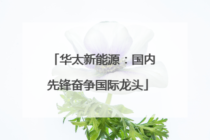 华太新能源：国内先锋奋争国际龙头