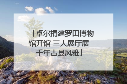 卓尔捐建罗田博物馆开馆 三大展厅展千年古县风雅
