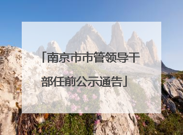 南京市市管领导干部任前公示通告