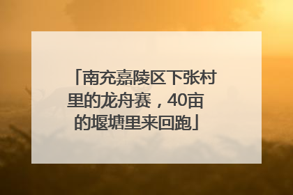 南充嘉陵区下张村里的龙舟赛，40亩的堰塘里来回跑