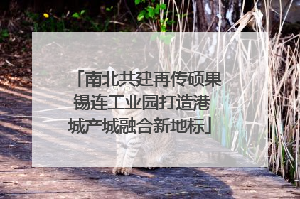 南北共建再传硕果 锡连工业园打造港城产城融合新地标