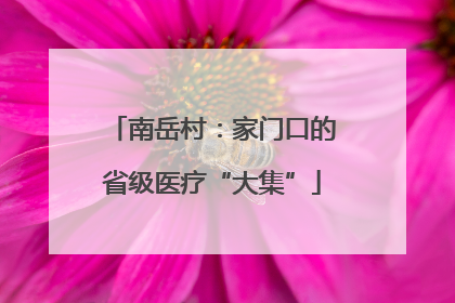 南岳村：家门口的省级医疗“大集”