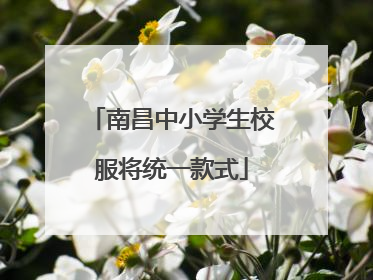 南昌中小学生校服将统一款式