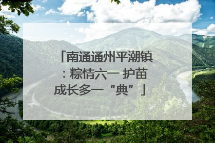 南通通州平潮镇：粽情六一 护苗成长多一“典”
