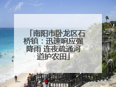 南阳市卧龙区石桥镇：迅速响应强降雨 连夜疏通河道护农田