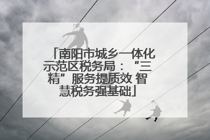 南阳市城乡一体化示范区税务局：“三精”服务提质效 智慧税务强基础