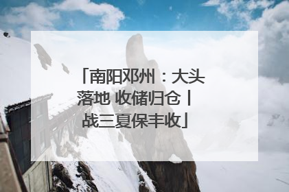 南阳邓州：大头落地 收储归仓丨战三夏保丰收