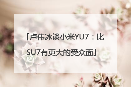 卢伟冰谈小米YU7：比SU7有更大的受众面