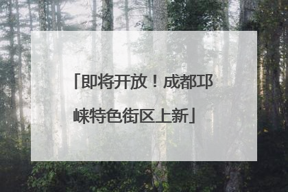 即将开放！成都邛崃特色街区上新