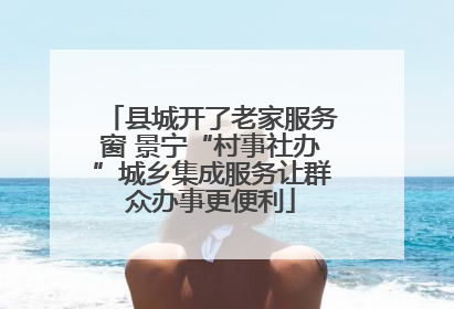 县城开了老家服务窗 景宁“村事社办”城乡集成服务让群众办事更便利