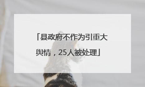 县政府不作为引重大舆情，25人被处理