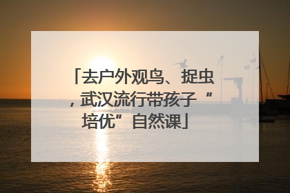 去户外观鸟、捉虫，武汉流行带孩子“培优”自然课