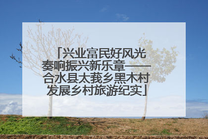 兴业富民好风光 奏响振兴新乐章——合水县太莪乡黑木村发展乡村旅游纪实