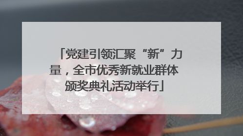党建引领汇聚“新”力量，全市优秀新就业群体颁奖典礼活动举行