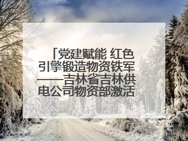 党建赋能 红色引擎锻造物资铁军——吉林省吉林供电公司物资部激活供应链新动能