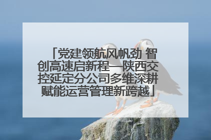 党建领航风帆劲 智创高速启新程—陕西交控延定分公司多维深耕赋能运营管理新跨越