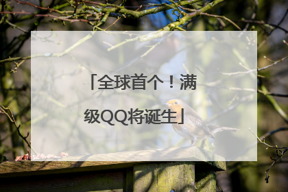 全球首个！满级QQ将诞生