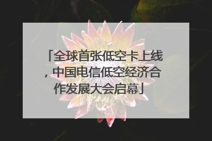 全球首张低空卡上线，中国电信低空经济合作发展大会启幕