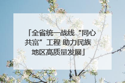 全省统一战线“同心共富”工程 助力民族地区高质量发展