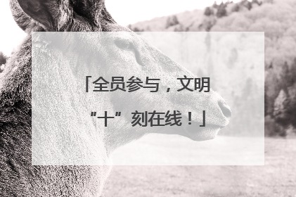 全员参与，文明“十”刻在线！