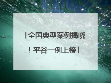 全国典型案例揭晓！平谷一例上榜